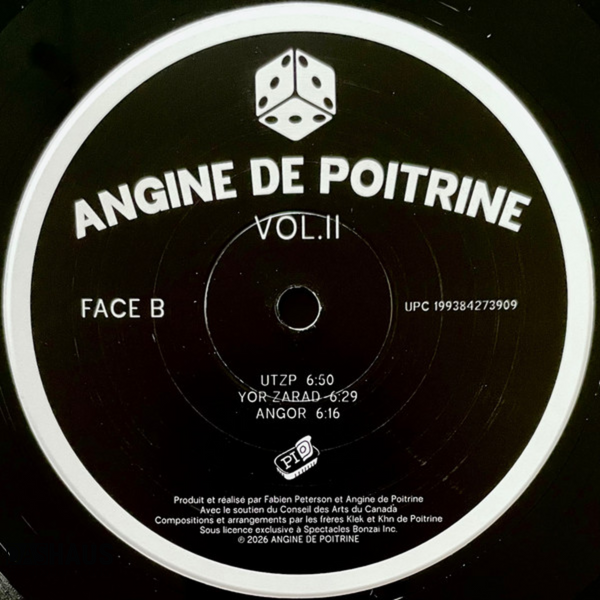 Виниловая пластинка Angine De Poitrine &ndash; Vol. II (LP, 2026, Canada, AP‑02, First Pressing, 180g) AP-02/199384273909 фото