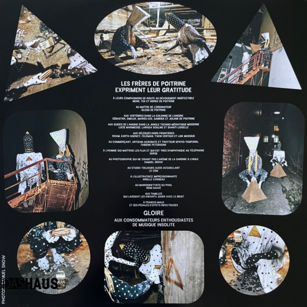 Виниловая пластинка Angine De Poitrine &ndash; Vol. II (LP, 2026, Canada, AP‑02, First Pressing, 180g) AP-02/199384273909 фото