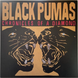 Вінілова платівка Black Pumas &ndash; Chronicles Of A Diamond (LP, 2023, Germany, Clear Vinyl, Stereo) ATO0654LP фото 1