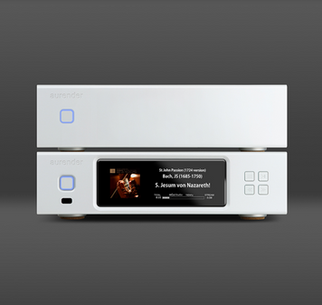 Aurender N300X N300X фото