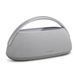 Harman Kardon Go + Play 3 Grey HKGOPLAY3GRYEP фото 1