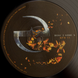 Виниловая пластинка Evanescence &ndash; Synthesis (2LP + CD, 2017, Czech Republic, 88985420251) 88985420251 фото 5