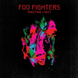 Вінілова платівка Foo Fighters &ndash; Wasting Light (2LP, 2011, Europe, 88697 84493‑1) 88697 84493 1 фото 1