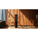 Dynaudio Focus 50 Walnut Wood F50WNWD фото 4