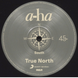 Виниловая пластинка A‑ha &ndash; True North (2LP, 2022, Czech Republic) 196587083014 фото 5