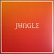 Виниловая пластинка Jungle &ndash; Volcano (LP, Album, Vinyl) 5056167177302 фото 1