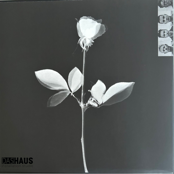 Вінілова платівка Depeche Mode &mdash; Violator (LP, 1990/2016, Europe, STUMM64 / 88985336751, 180g Gatefold) STUMM64/88985336751 фото