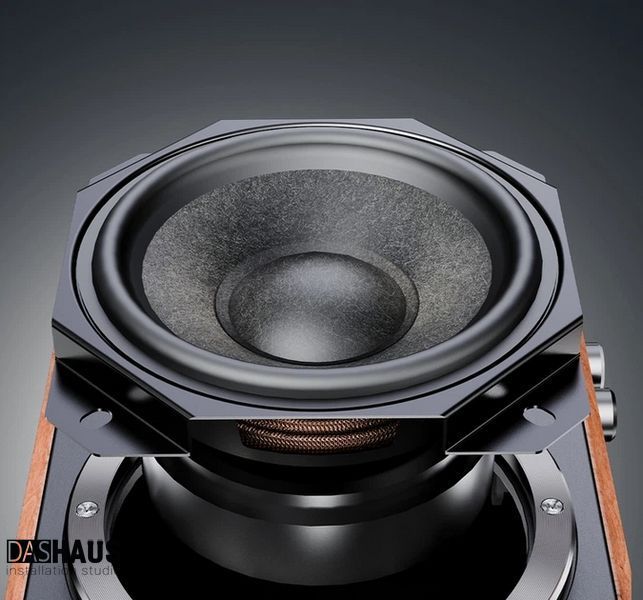 FiiO SA1 Black 43228 фото