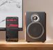 FiiO SA1 Black 43228 фото 8