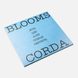 Виниловая пластинка Blooms Corda &ndash; Дощ іде, але сонце світить (LP, 2024/2025, Ukraine, Limited Edition, Turquoise Vinyl, Stereo) 4820277330480 фото 2