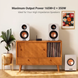 Fosi Audio BT30D PRO-32V 18897 фото 3