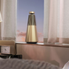 Bang & Olufsen Beosound 2 3rd Gen Gold Tone 1309104 фото 6