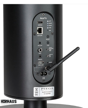 Piega Ace 50 Wireless (pair) Black 7516 фото