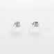 Shanling SE100 eartips (L) 90404056 фото 1
