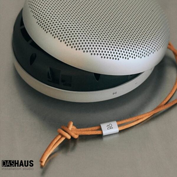 Bang & Olufsen Beosound A1 3rd Gen Natural Aluminium 1736002 фото