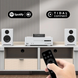 Arylic LP10 Wireless Music Streamer with GoogleCast L10WMSAP2GC фото 8
