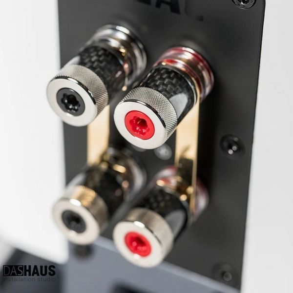 Elac Carina BS 243.4 Black 32302 фото