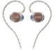 FiiO FP3 Type‑C Black Walnut 44979 фото 1