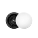 Arylic RK525 ARK525 фото 1