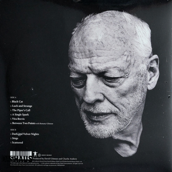 Вінілова платівка David Gilmour &mdash; Luck And Strange (LP, 2024, USA & Canada, 19802804611, Translucent Sea Blue) 19802804611 фото