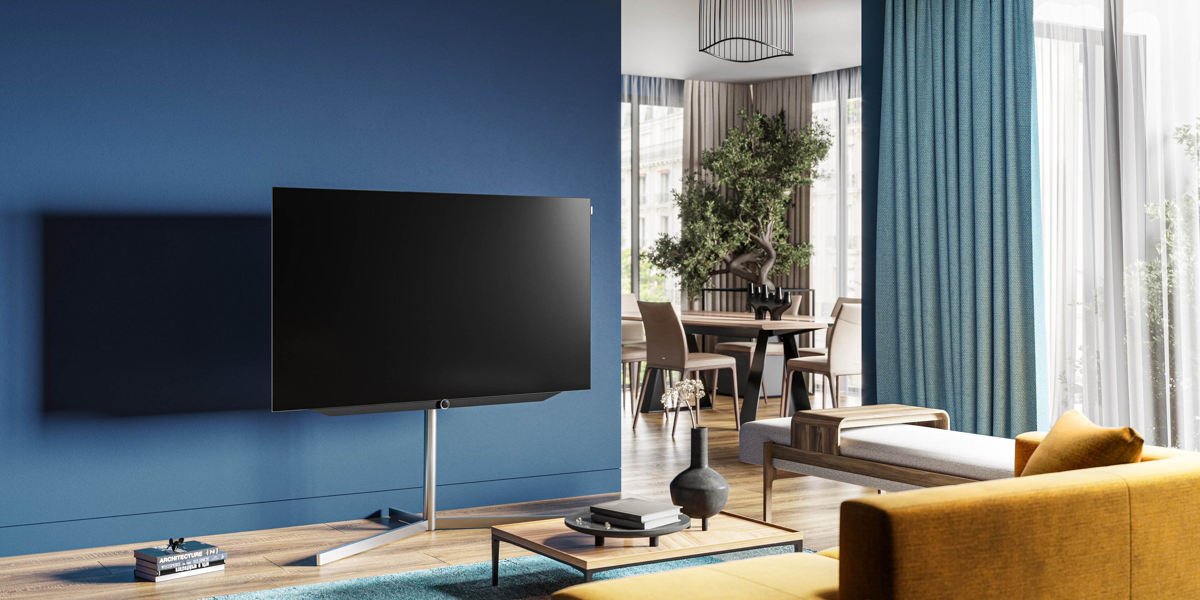 Loewe bild v.65 dr+ (60410D50) - 2000-2000